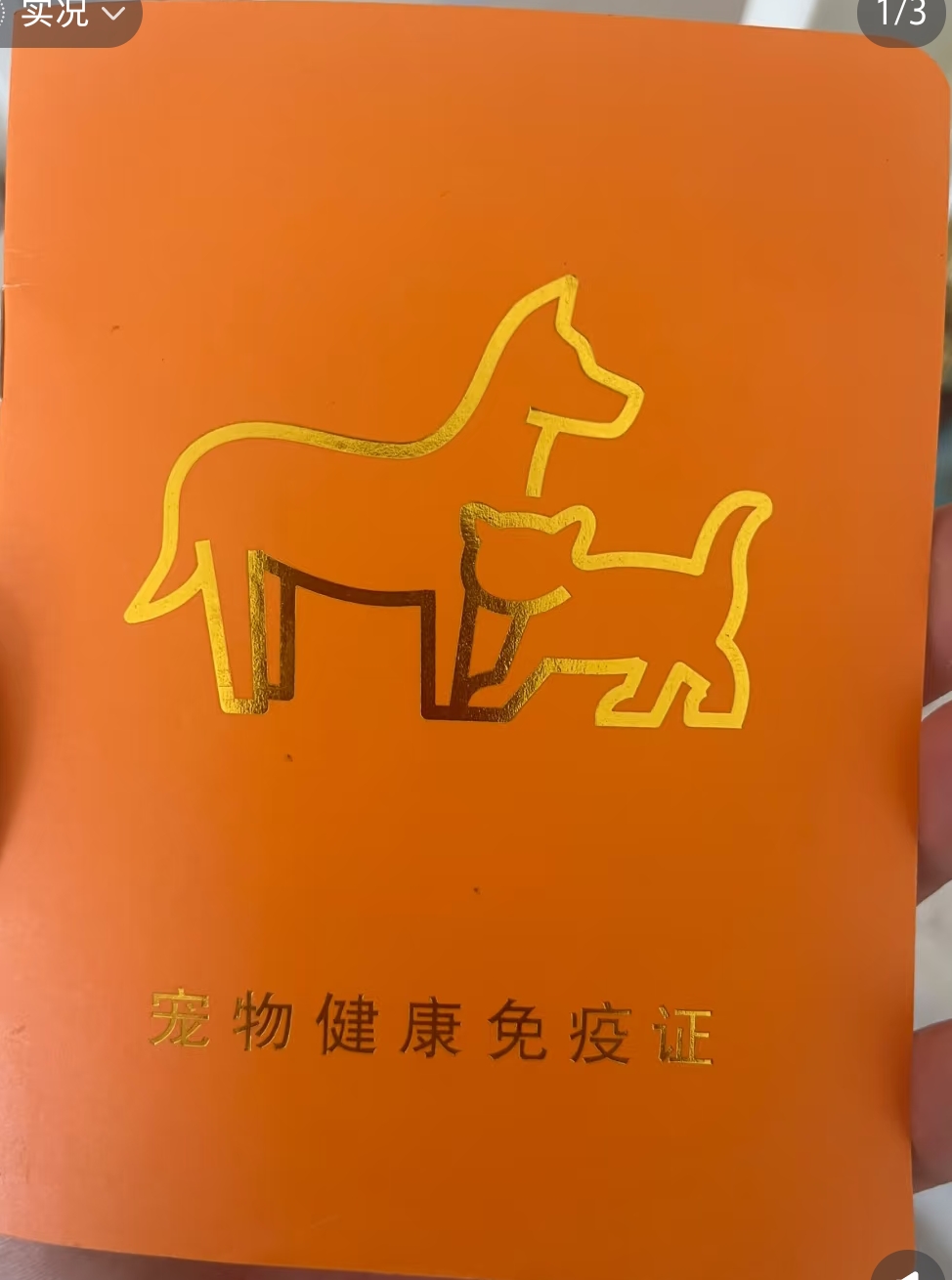 黑白边牧